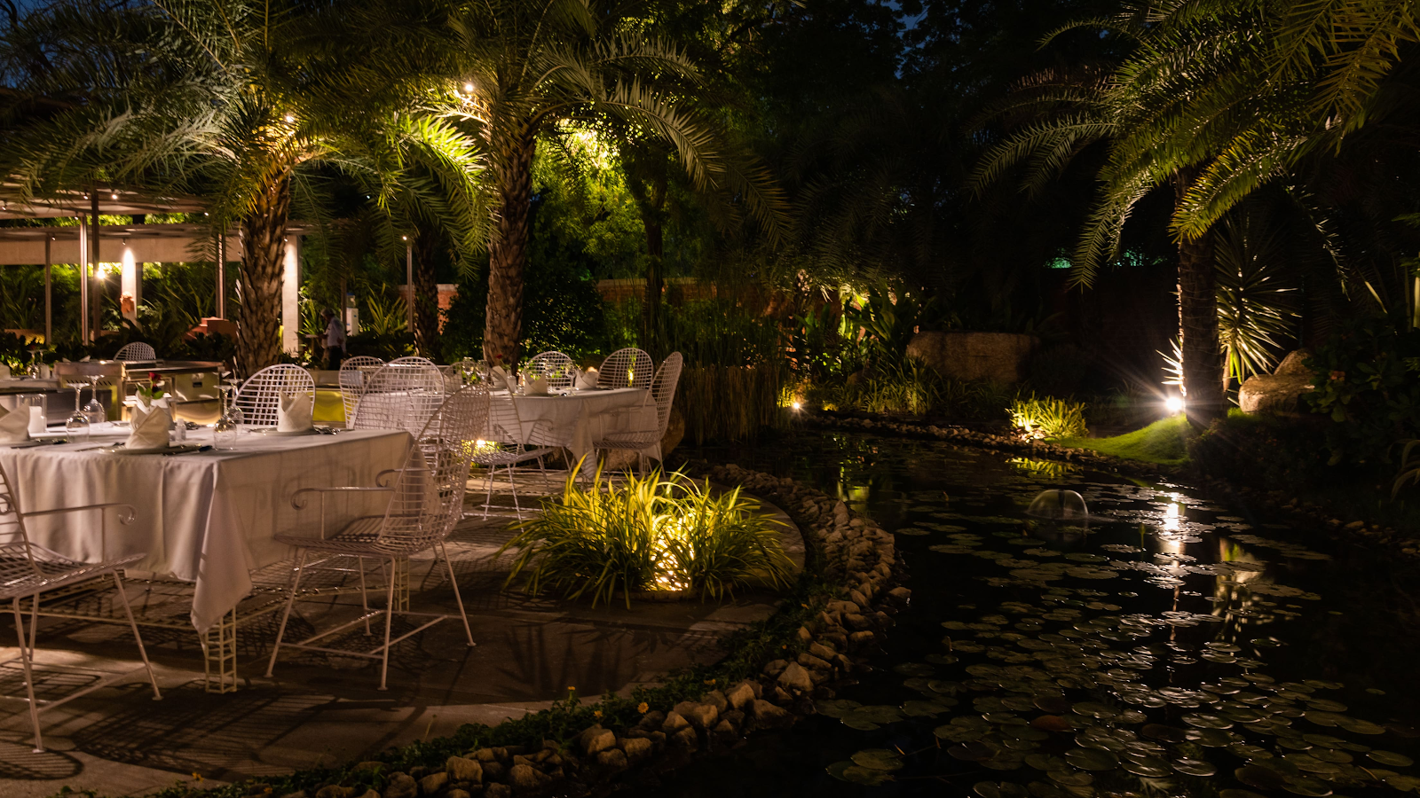 NEEM DREAM Experiential Dining